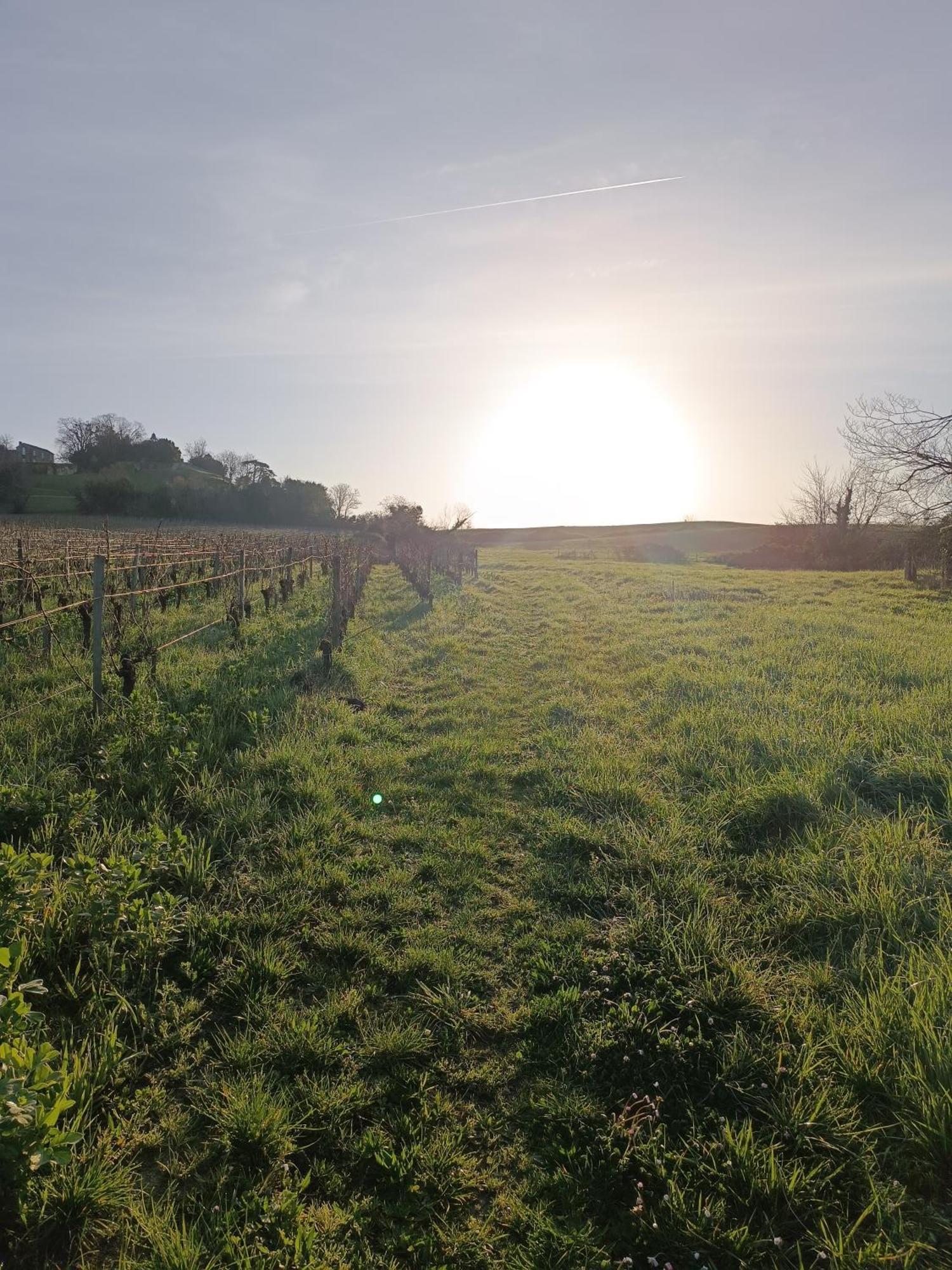 Fronsac  Maison Charmeilles - Gite Touristique - Coliving מראה חיצוני תמונה